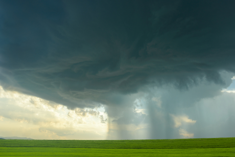 avoid-price-gouging-after-a-storm_blog.